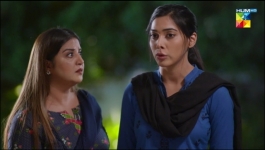 Bepanah - Episode 43 - 8th Dec 22